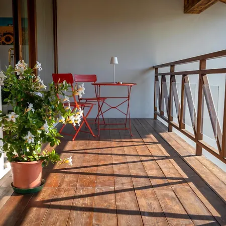Fiori Di Campo -